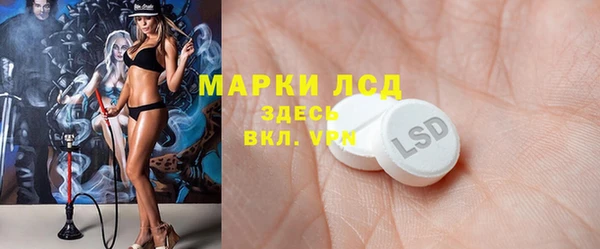 PSILOCYBIN Богданович