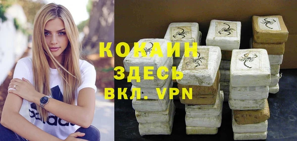 гашик Белоозёрский
