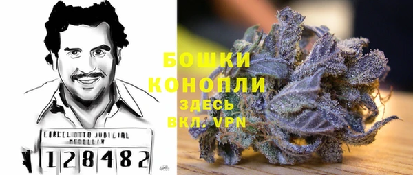 PSILOCYBIN Богданович