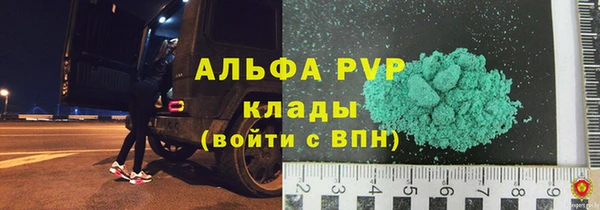 PSILOCYBIN Богданович